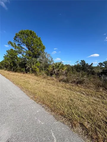 a view of a yard with a tree