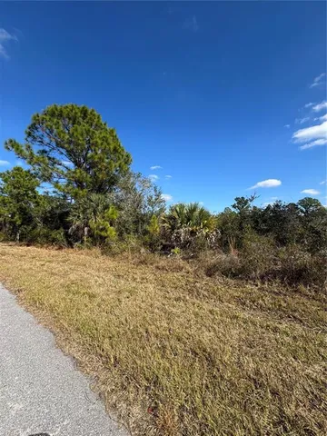a view of a large tree with a yard