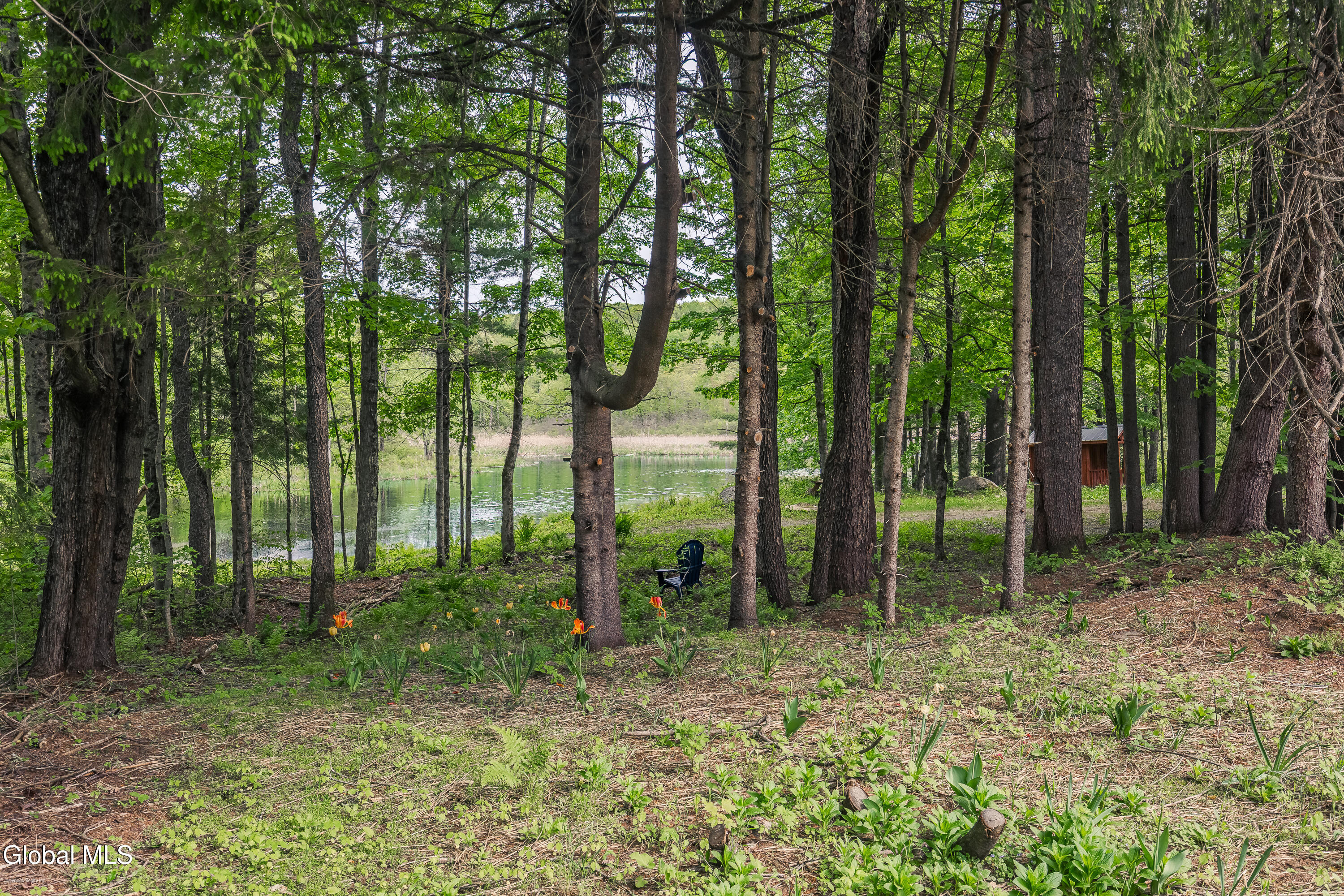 1979 Hermance Road Galway, NY 12074 - Photo 64 of 82 1979-Hermance-Rd-Galway-NY-12074-5