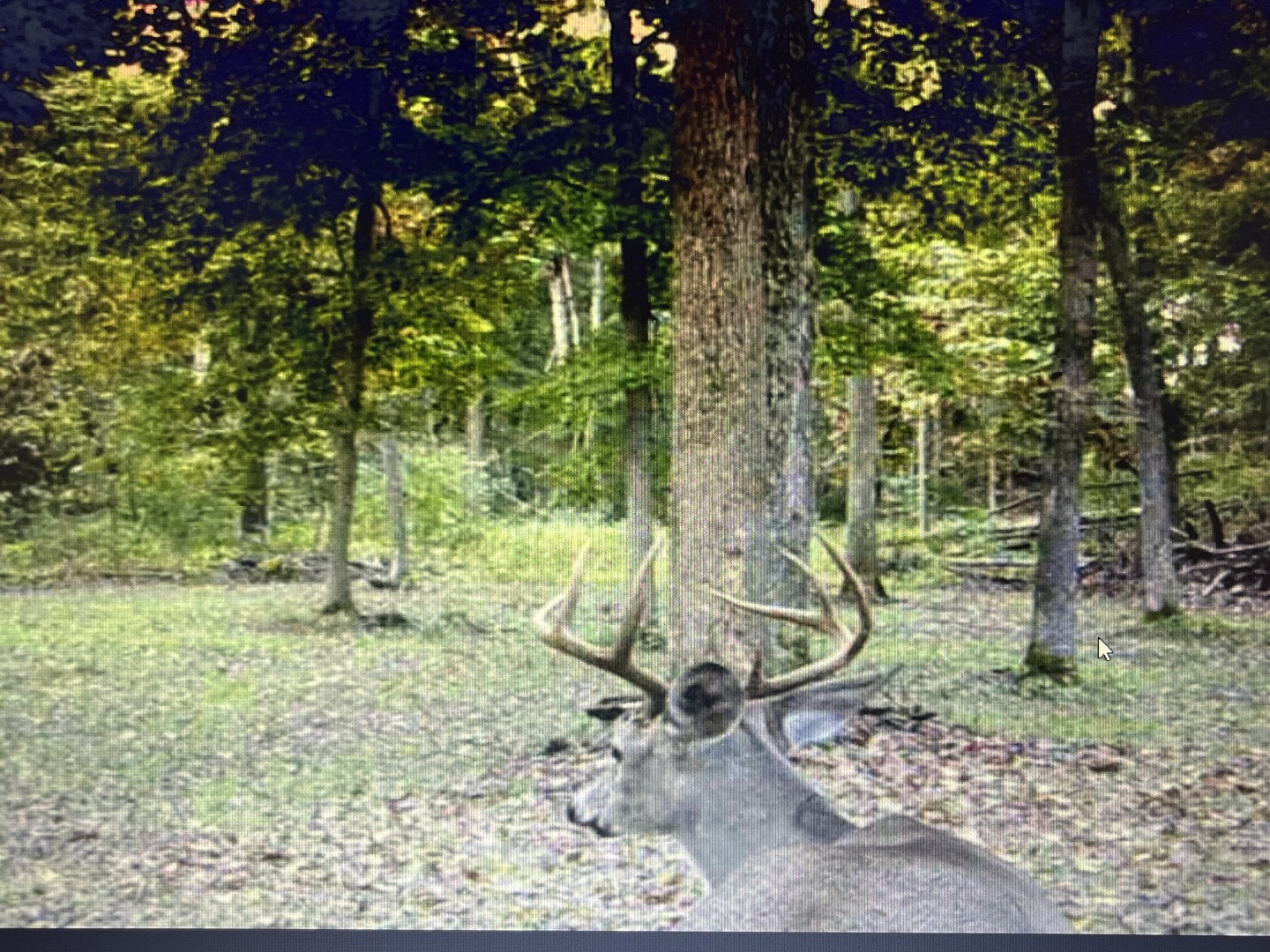 9576 State Rte 161 Extension Iuka, IL 62849 - Photo 15 of 53