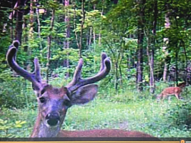 a backyard of a house with shaded area