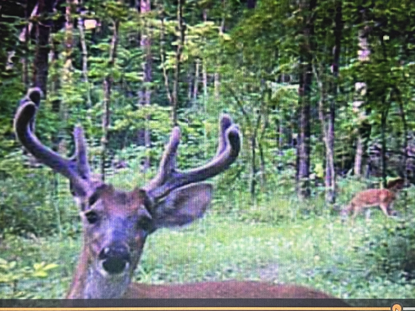 9576 State Rte 161 Extension Iuka, IL 62849 - Photo 16 of 53
