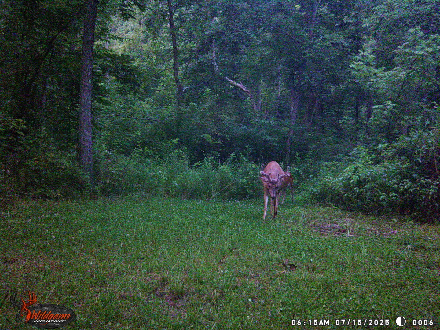 9576 State Rte 161 Extension Iuka, IL 62849 - Photo 21 of 53