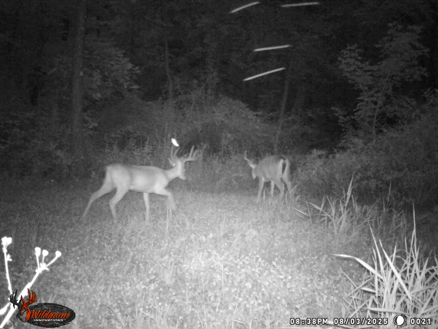 9576 State Rte 161 Extension Iuka, IL 62849 - Photo 23 of 53