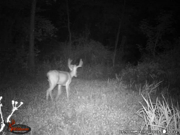 a terrace of a house with outdoor seating