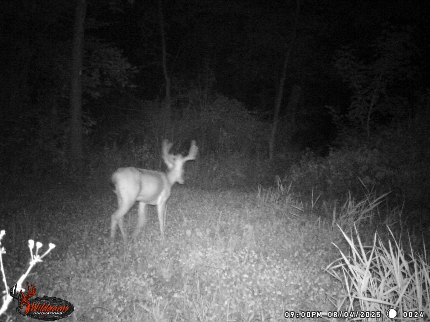 9576 State Rte 161 Extension Iuka, IL 62849 - Photo 24 of 53