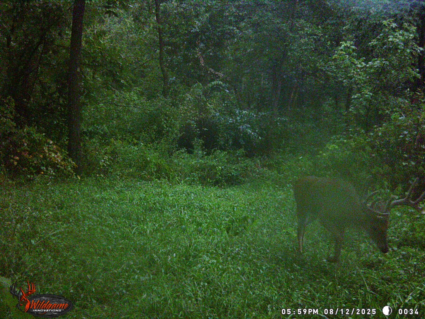 9576 State Rte 161 Extension Iuka, IL 62849 - Photo 25 of 53