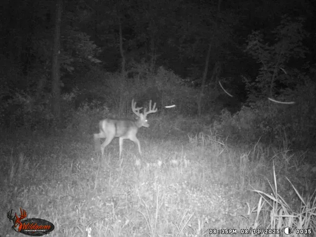 a close up of a white marble wall