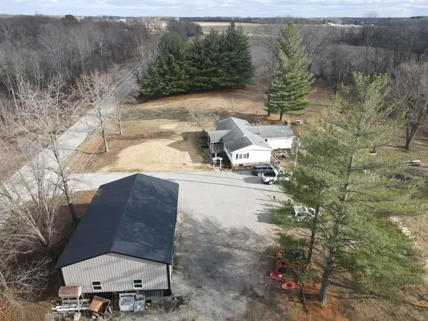 a close up of a tree in a backyard