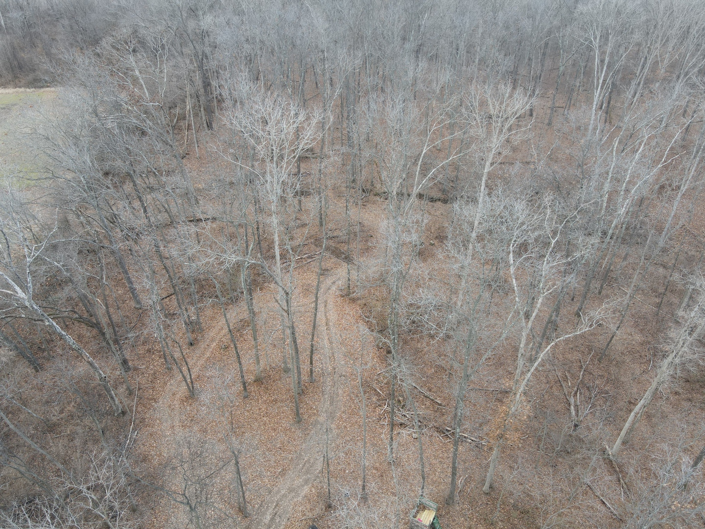 9576 State Rte 161 Extension Iuka, IL 62849 - Photo 29 of 53
