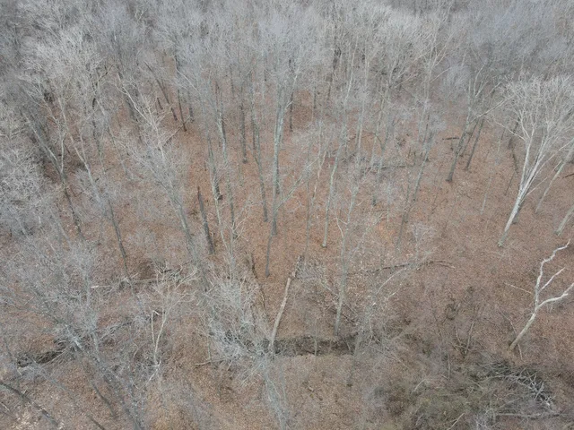 a view of empty room with trees