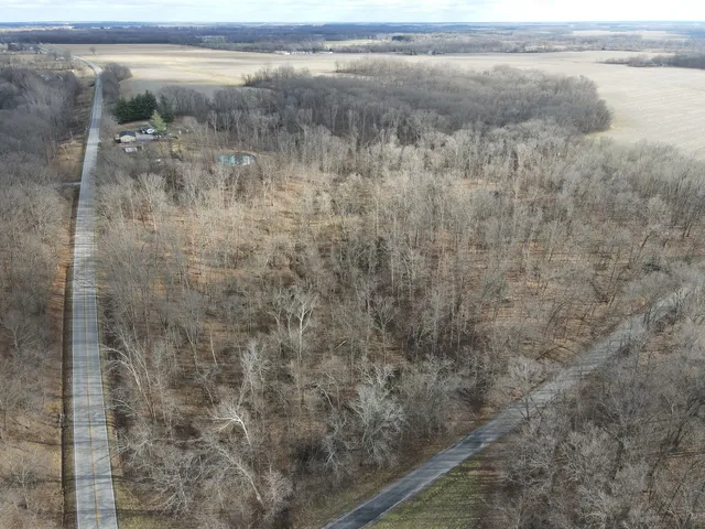 a view of a town with trees
