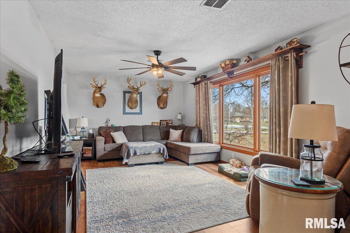 641 Foxtail Lane Springfield, IL 62707 - Photo 9 of 45