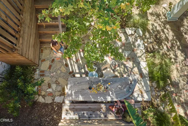 a view of a tree with a tree