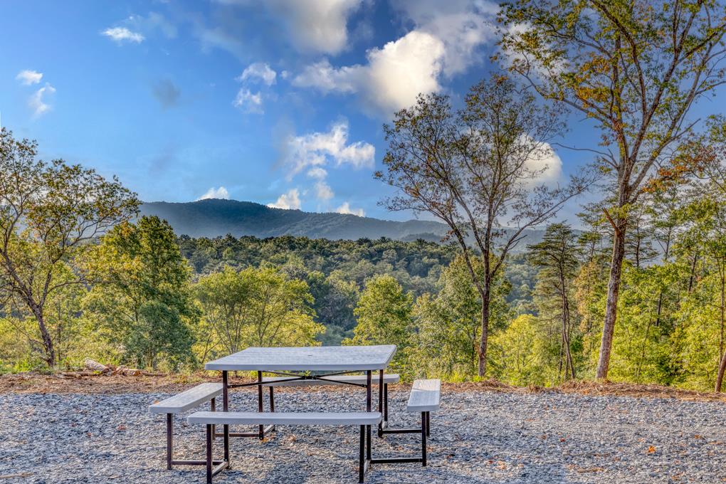 5664 Mobile Road Blue Ridge, GA 30513 - Photo 56 of 66