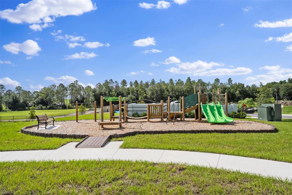 5168 Greenshade Grv Avenue Apopka, FL 32712 - Photo 29 of 31