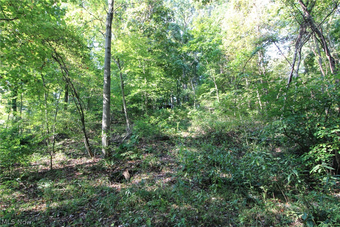 Post Boy Road Newcomerstown, OH 43832 - Photo 9 of 27 Gallery Image 9