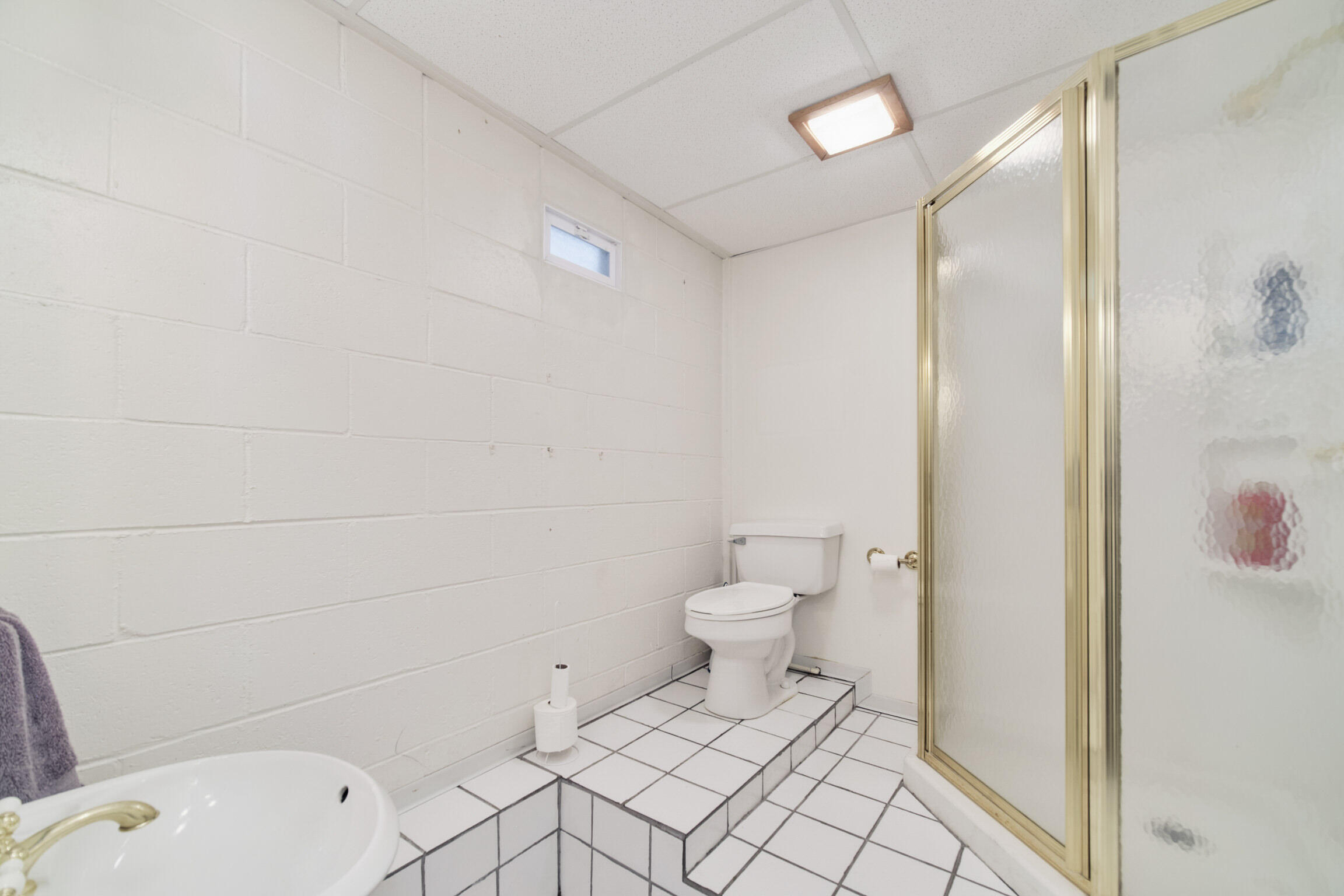 6373 East Trail Ridge Road Fountain, MI 49410 - Photo 39 of 62 Lower Level Bathroom