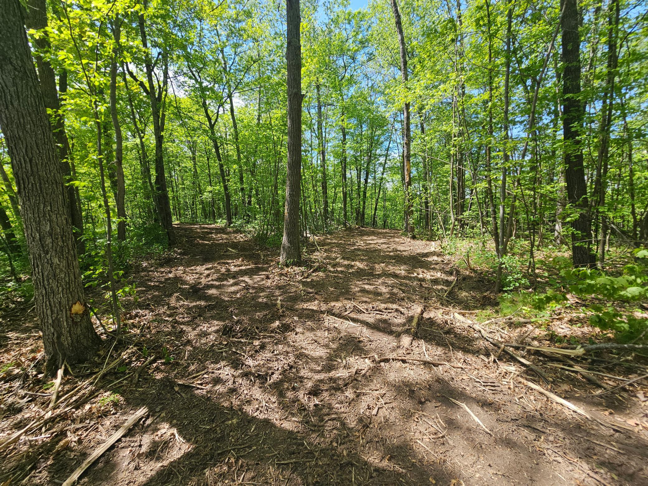 Tbd Tract B Tbd Tract B Swanson Road Deerwood, MN 56444 - Photo 8 of 11