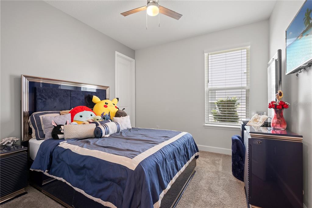 33875 Castaway Loop Wesley Chapel, FL 33543 - Photo 30 of 100