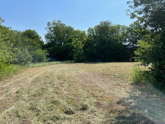 2809 Turner Warnell Road Arlington, TX 76001 - Photo 13 of 26 a view of wall with tree in the background