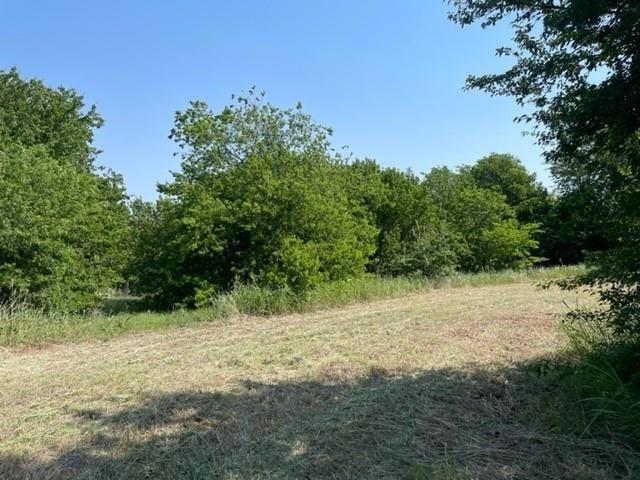 2809 Turner Warnell Road Arlington, TX 76001 - Photo 14 of 26 a view of a yard with a tree