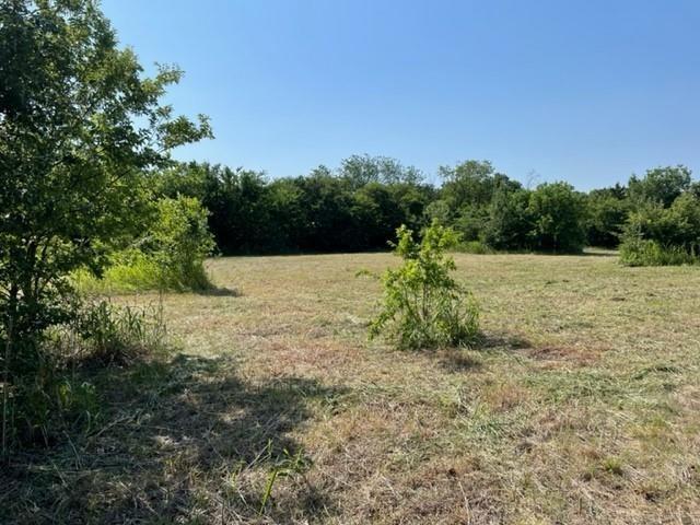 2809 Turner Warnell Road Arlington, TX 76001 - Photo 15 of 26 a view of outdoor space with trees all around