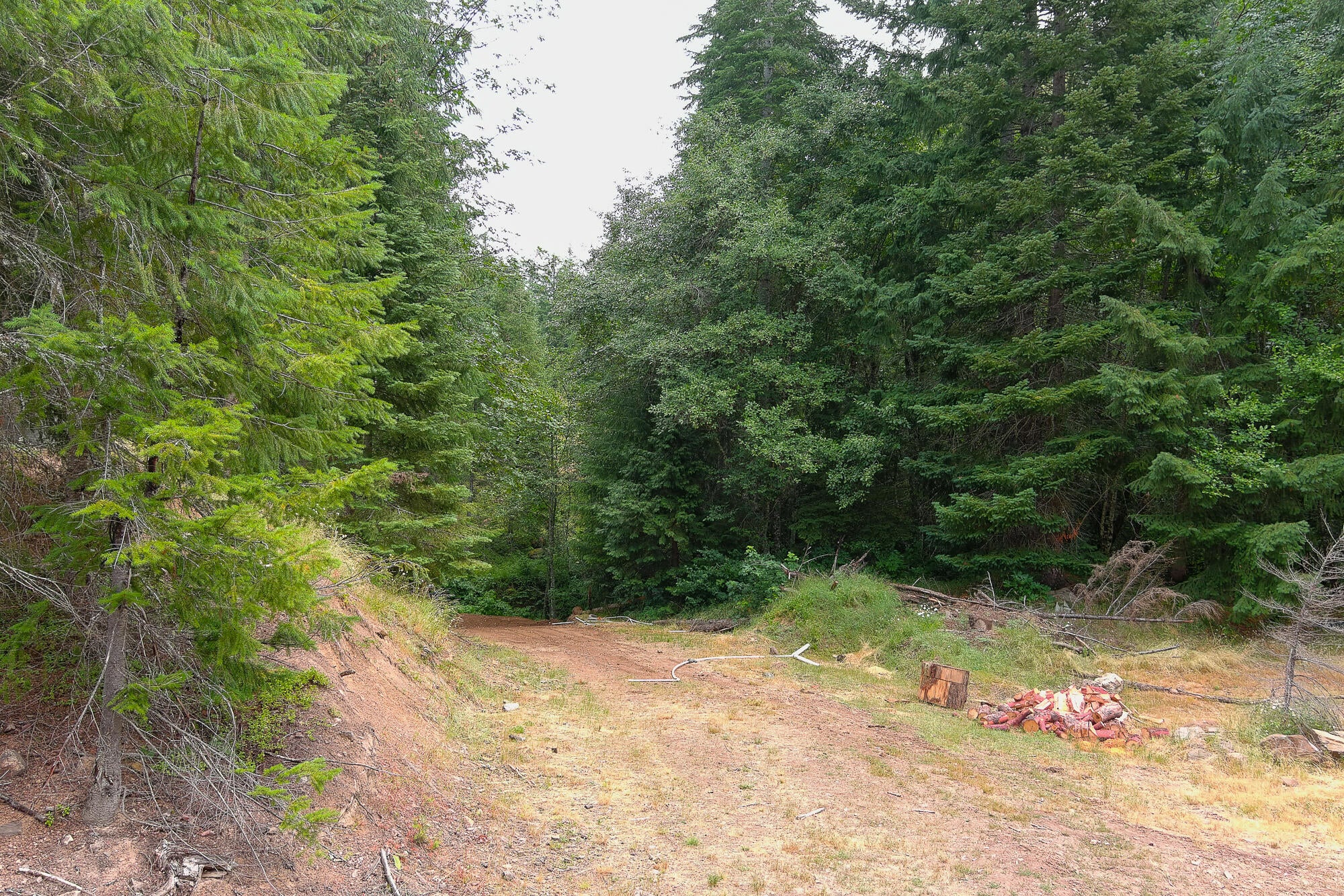 14083 Elk Creek Road Trail, OR 97541 - Photo 18 of 21 Pic 19