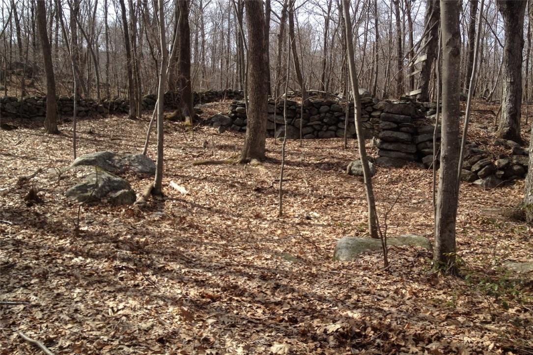 South White Rock Road Holmes, NY 12531 - Photo 2 of 5