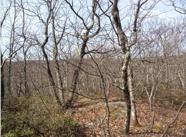 $399,000 | South White Rock Road, Holmes, NY 12531