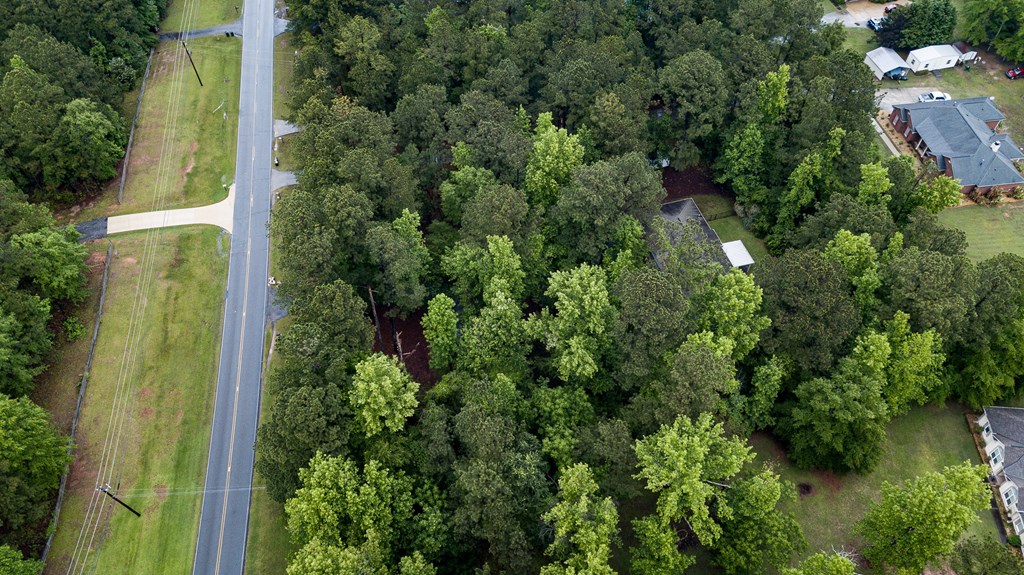 11388 Warm Springs Road Midland, GA 31820 - Photo 3 of 29 Gallery Image 3