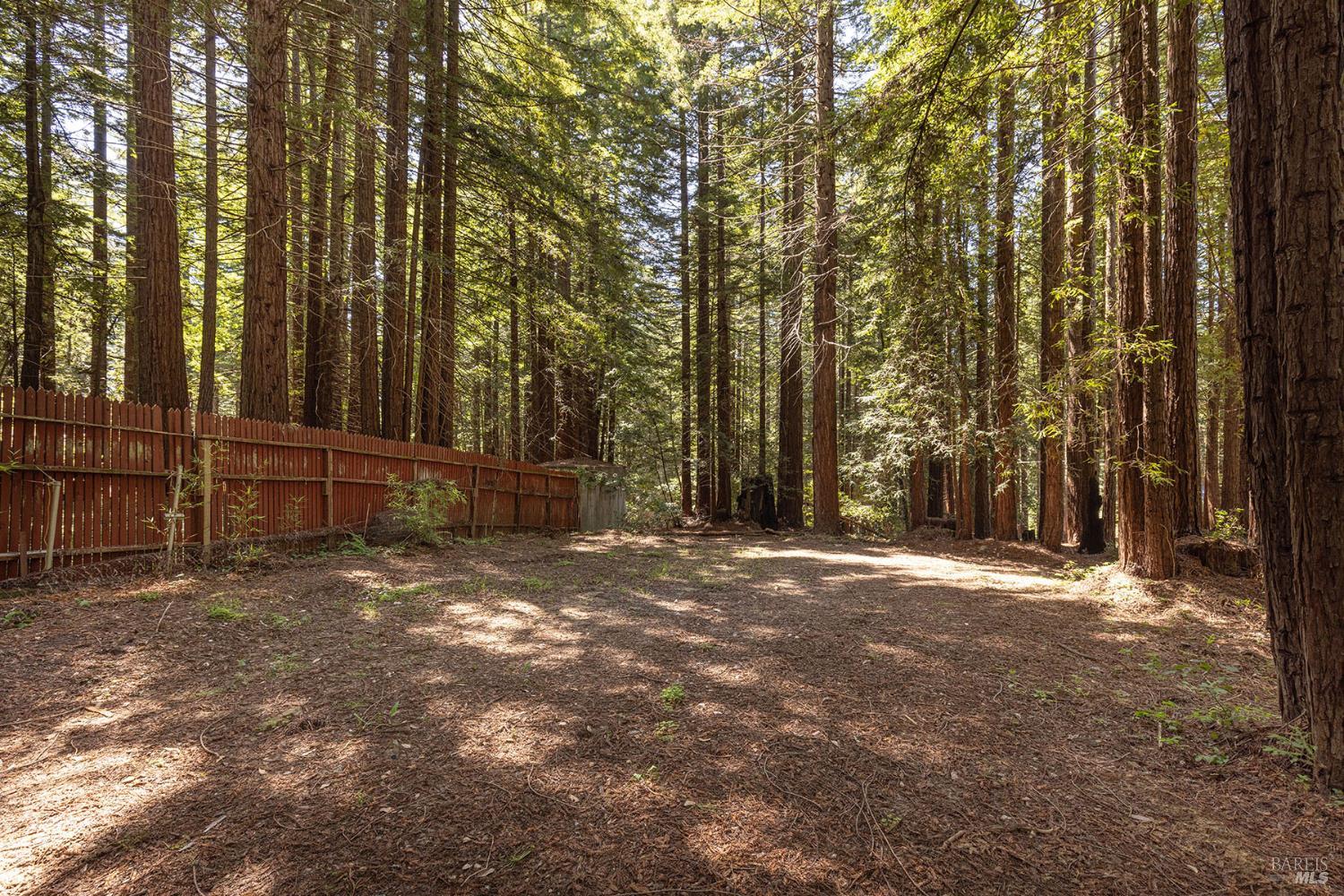 2264 Joy Ridge Road Occidental, CA 95465 - Photo 69 of 74