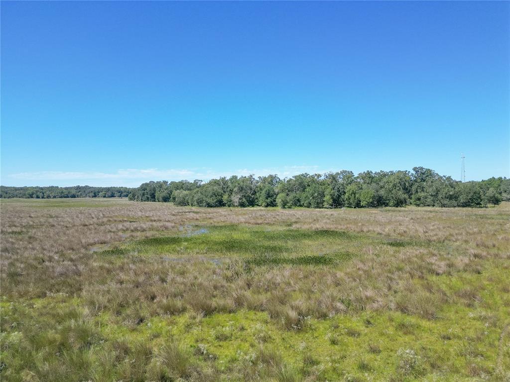 673 Webster Webster, FL 33597 - Photo 14 of 69 Gallery Image 14
