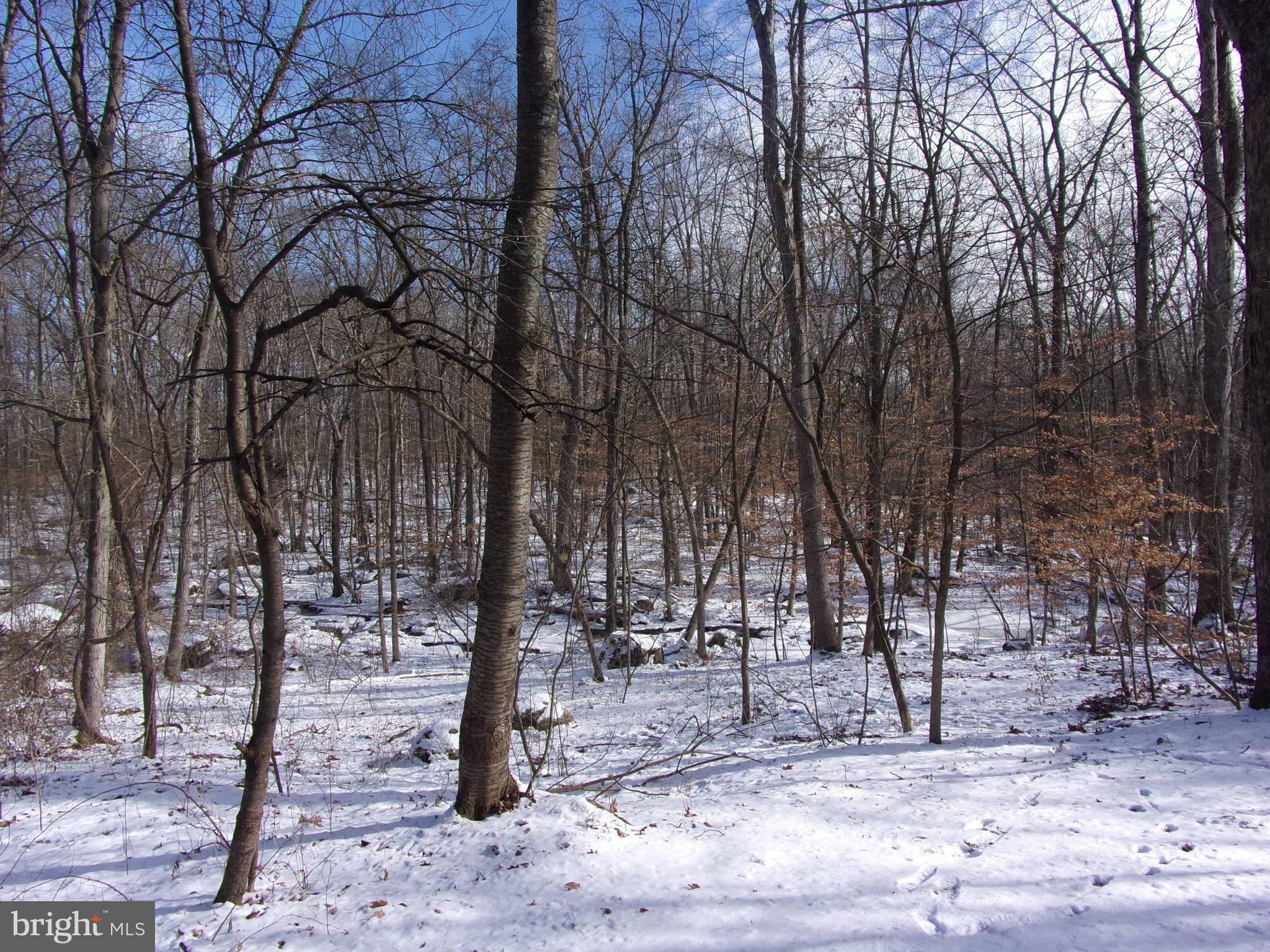 7985 Bull Road Lewisberry, PA 17339 - Photo 38 of 39