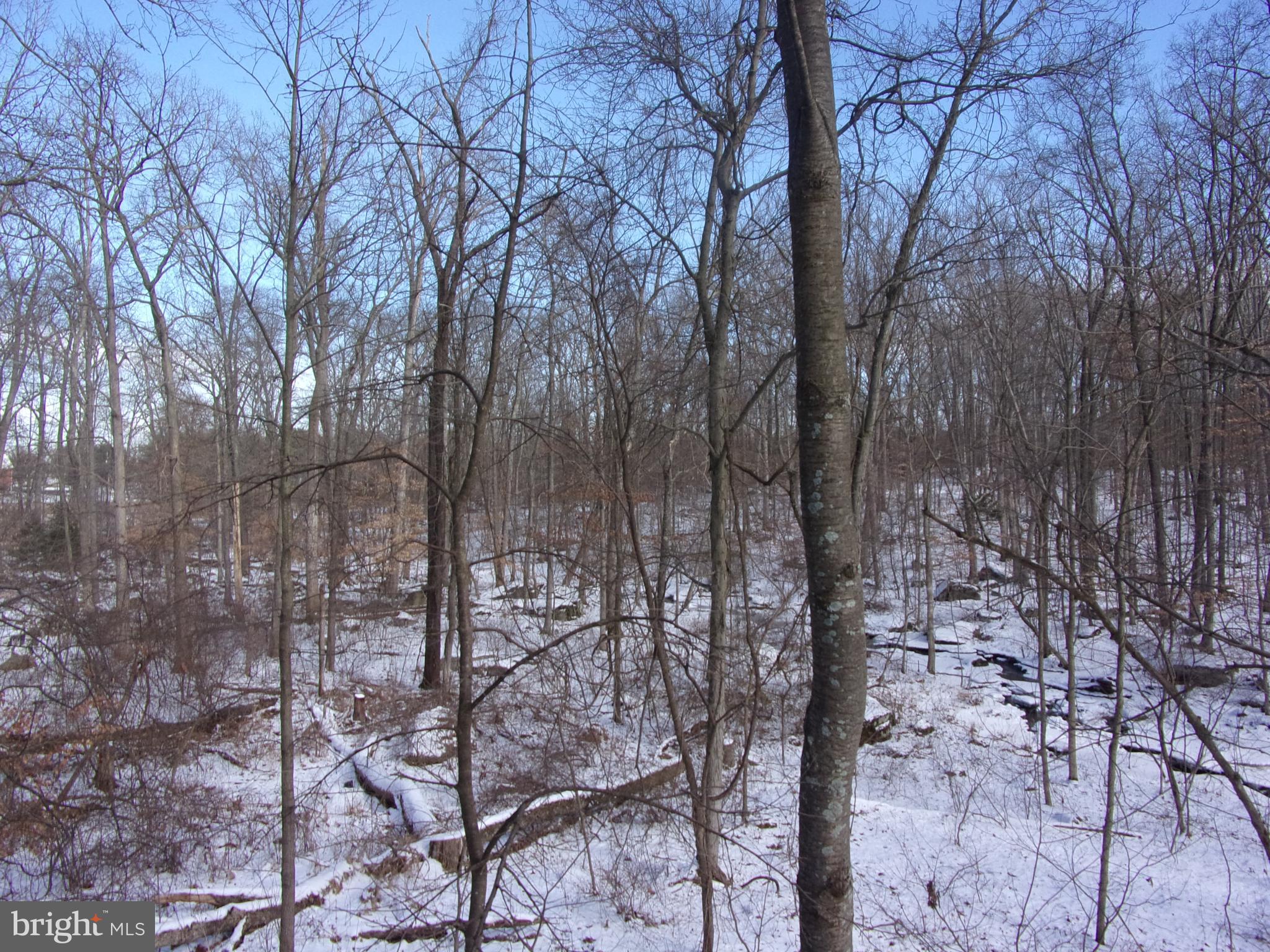 7985 Bull Road Lewisberry, PA 17339 - Photo 39 of 39