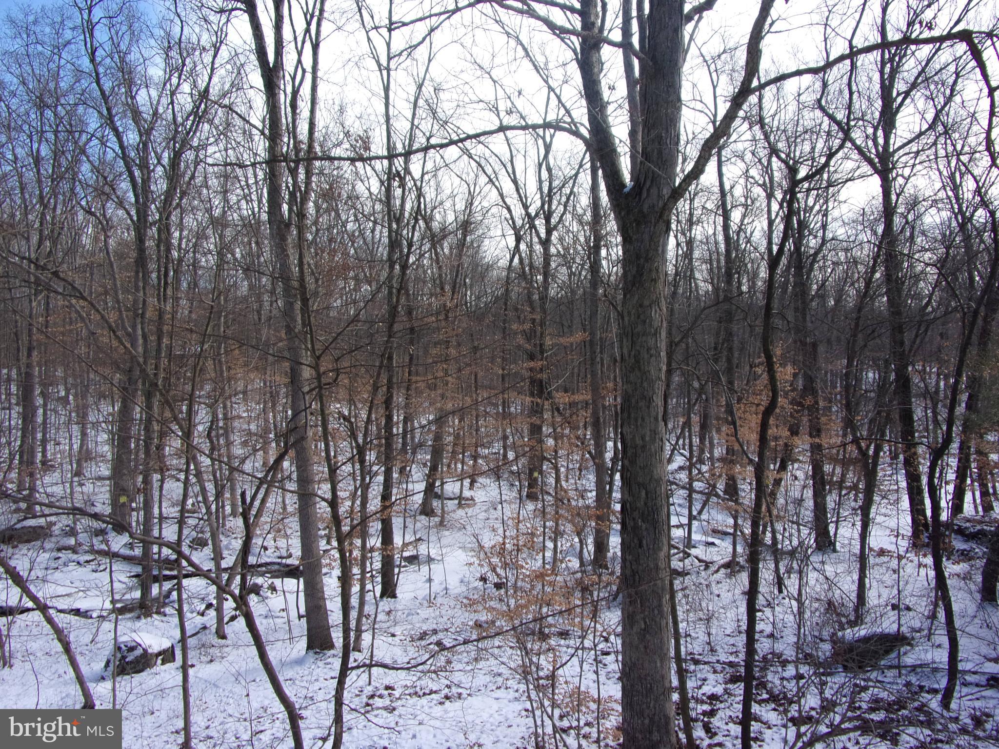 7985 Bull Road Lewisberry, PA 17339 - Photo 10 of 39