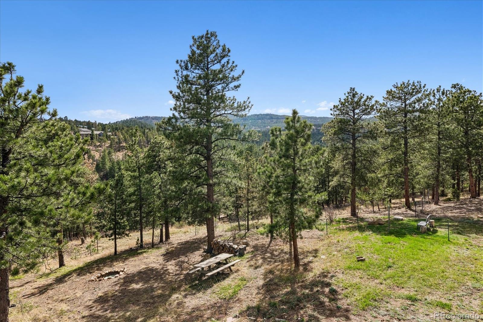 166 Hummingbird Lane Golden, CO 80403 - Photo 38 of 48