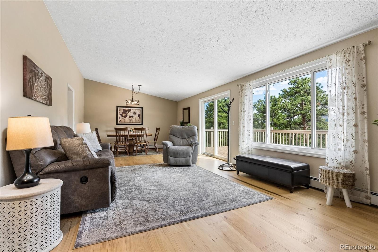 166 Hummingbird Lane Golden, CO 80403 - Photo 8 of 48