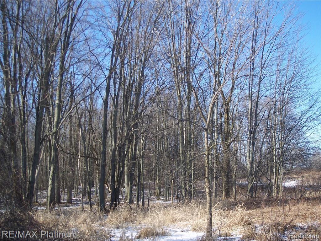 Parcel A Bell Oak Road Webberville, MI 48892 - Photo 32 of 48