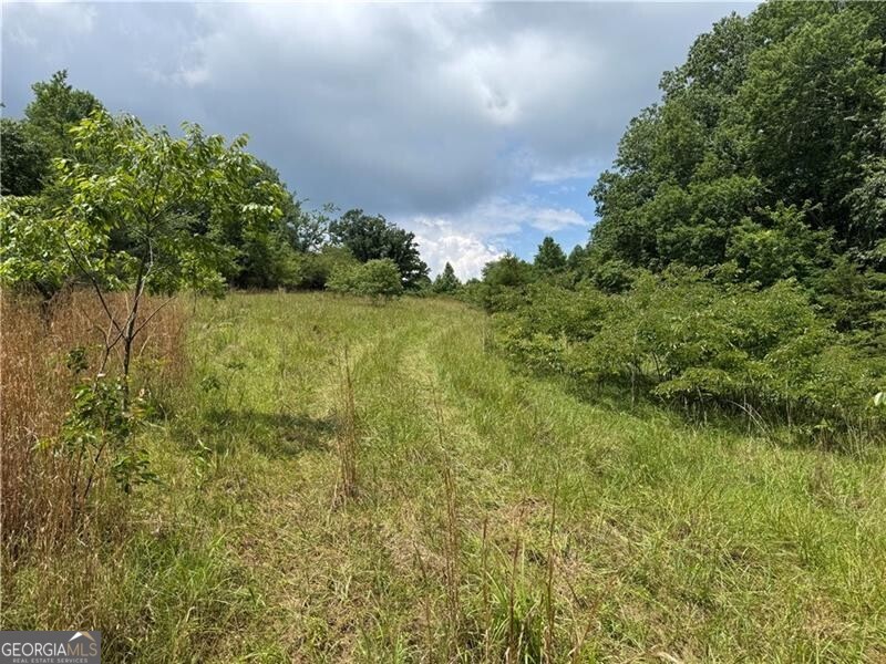 0 Ben Higgins Road Dahlonega, GA 30533 - Photo 17 of 21