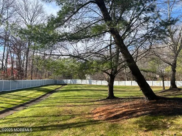 a view of a yard with a large tree