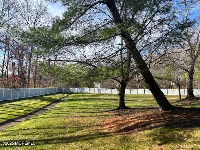 a view of a yard with a large tree