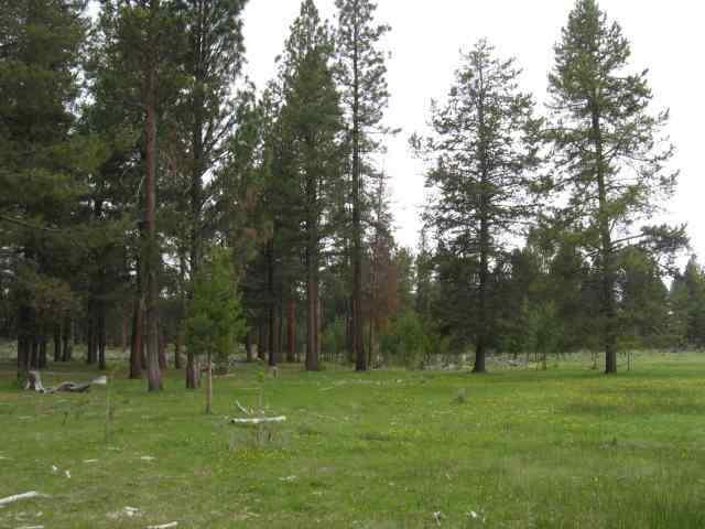 39150 9 9 Mile Road Chiloquin, OR 97624 - Photo 2 of 15 Additional Photo