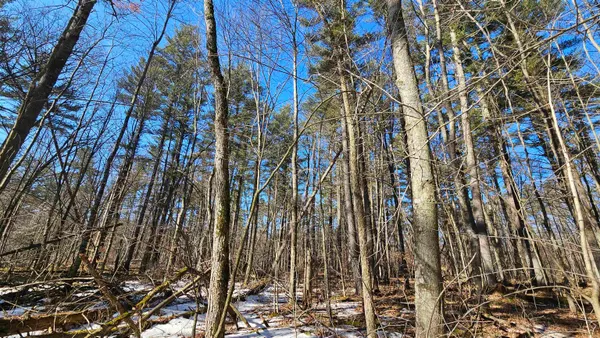 $24,000 | W2319 Bureau Of Indian Affairs Route 612, Unit 67, Keshena, WI 54135