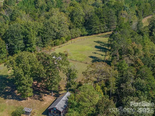a view of a yard with a tree