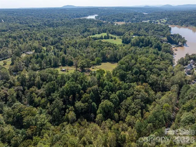 an aerial view of forest