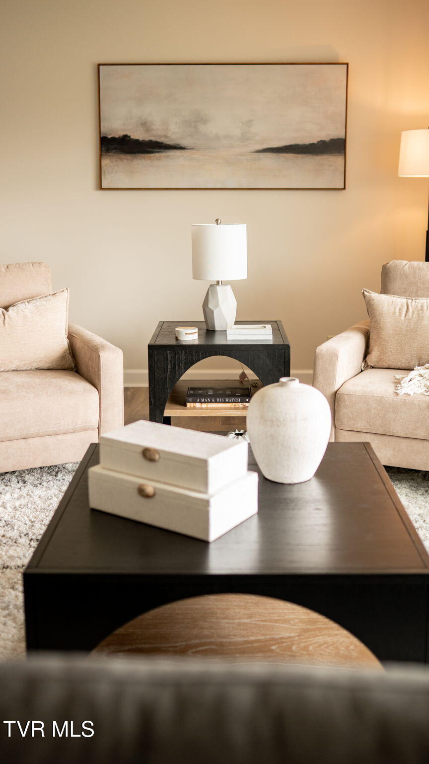 640 Foothills Road Kingsport, TN 37663 - Photo 44 of 51 1-web-or-mls-DSC00366