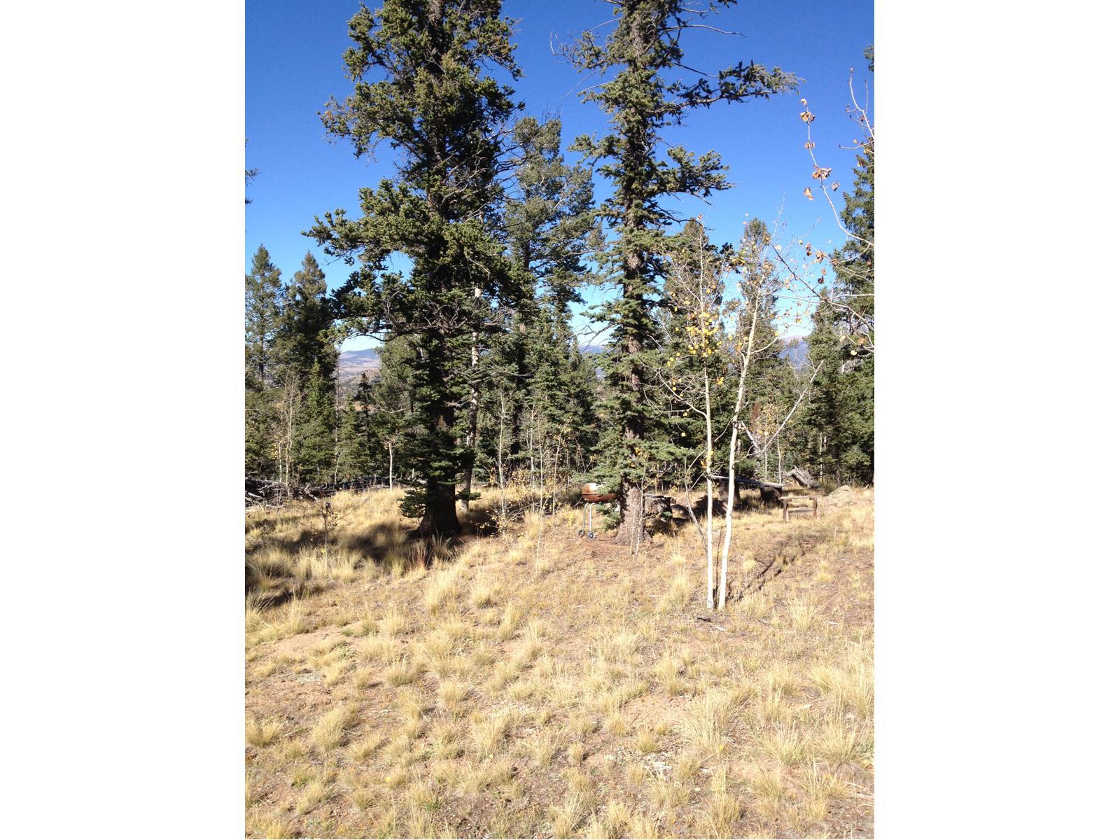 901 Bow String Road Jefferson, CO 80456 - Photo 1 of 1 Gallery Image 1