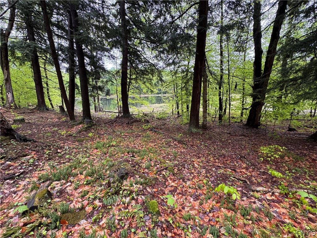 0 Hawkinsville Road Woodgate, NY 13494 - Photo 23 of 27