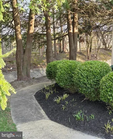 a view of a yard with plants and trees